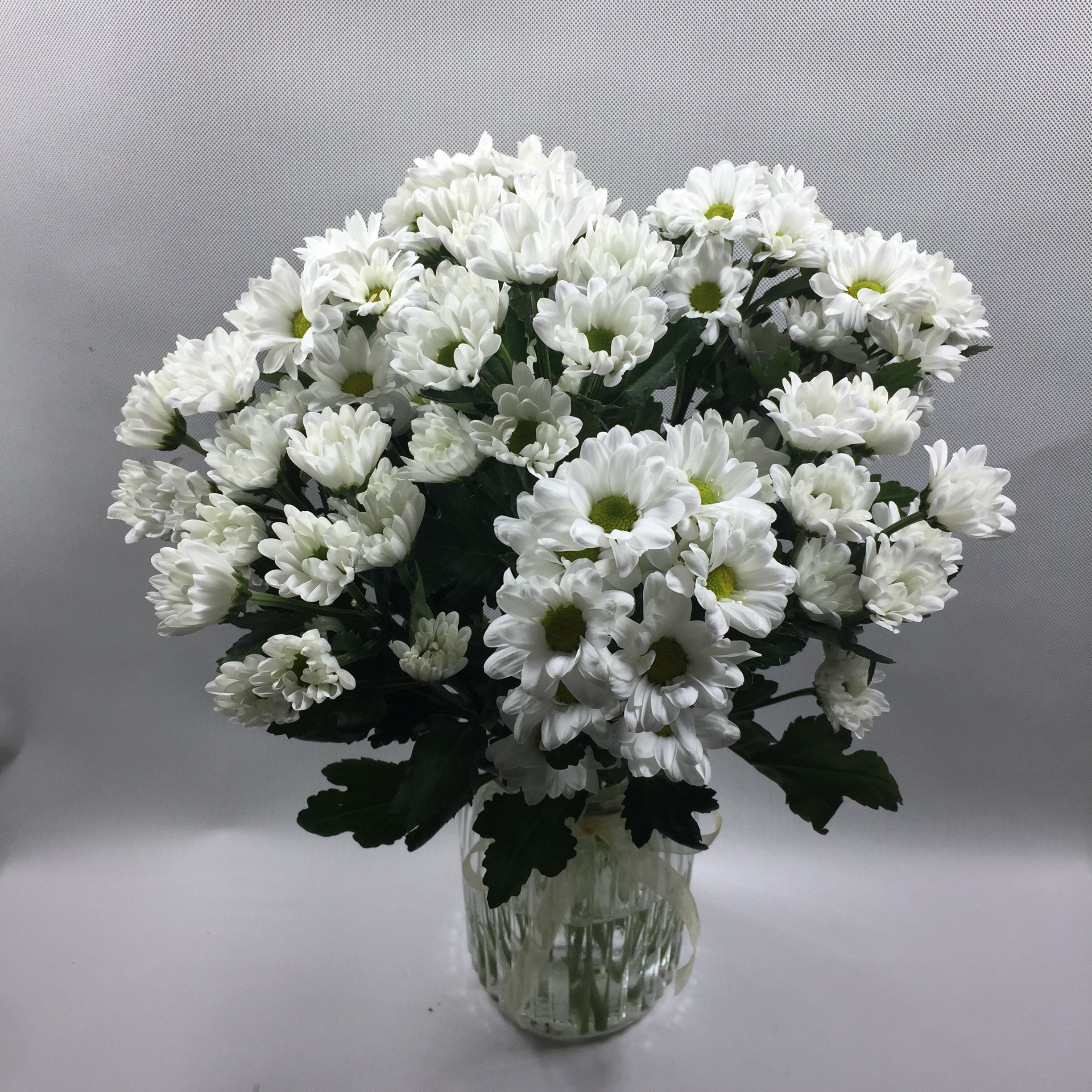 多头雏菊鲜切小清新上海同城速递家用瓶插花艺鲜花速递同城