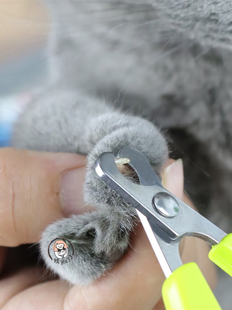 糯米猫森林指甲刀猫咪猫爪指甲剪宠物趾甲钳幼猫猫指甲剪