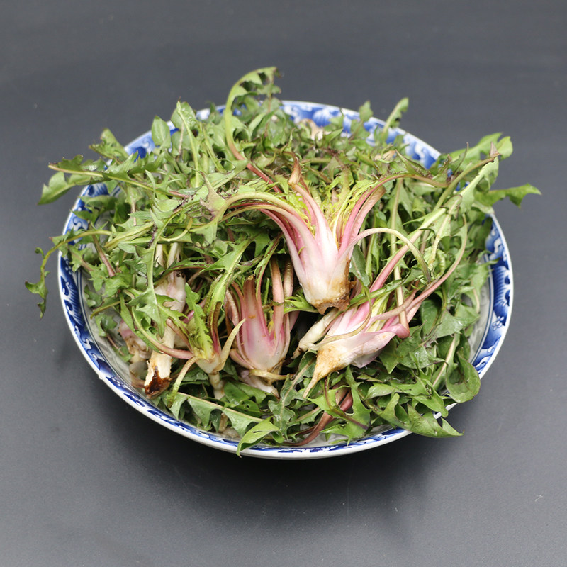 长白山野生蒲公英新鲜带根山野菜东北婆婆丁蘸酱菜其它