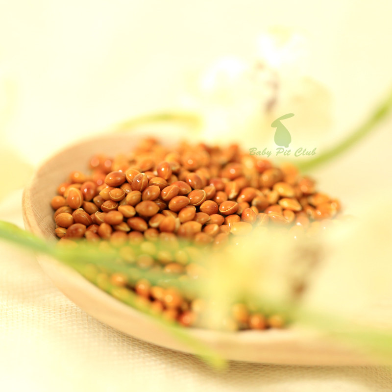 红黍红粟小米鸽子仓鼠零食鸟食鸟粮饲料枕头鸟食