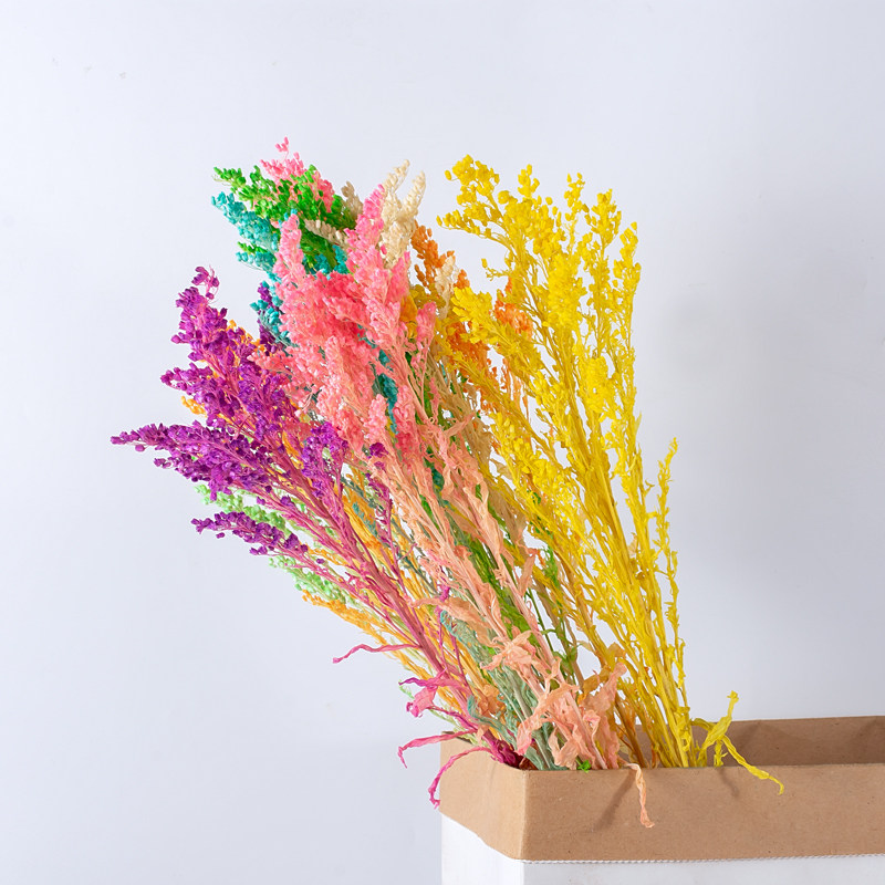 黄莺永生花干花花束配花天然田园家居摆设客厅干花