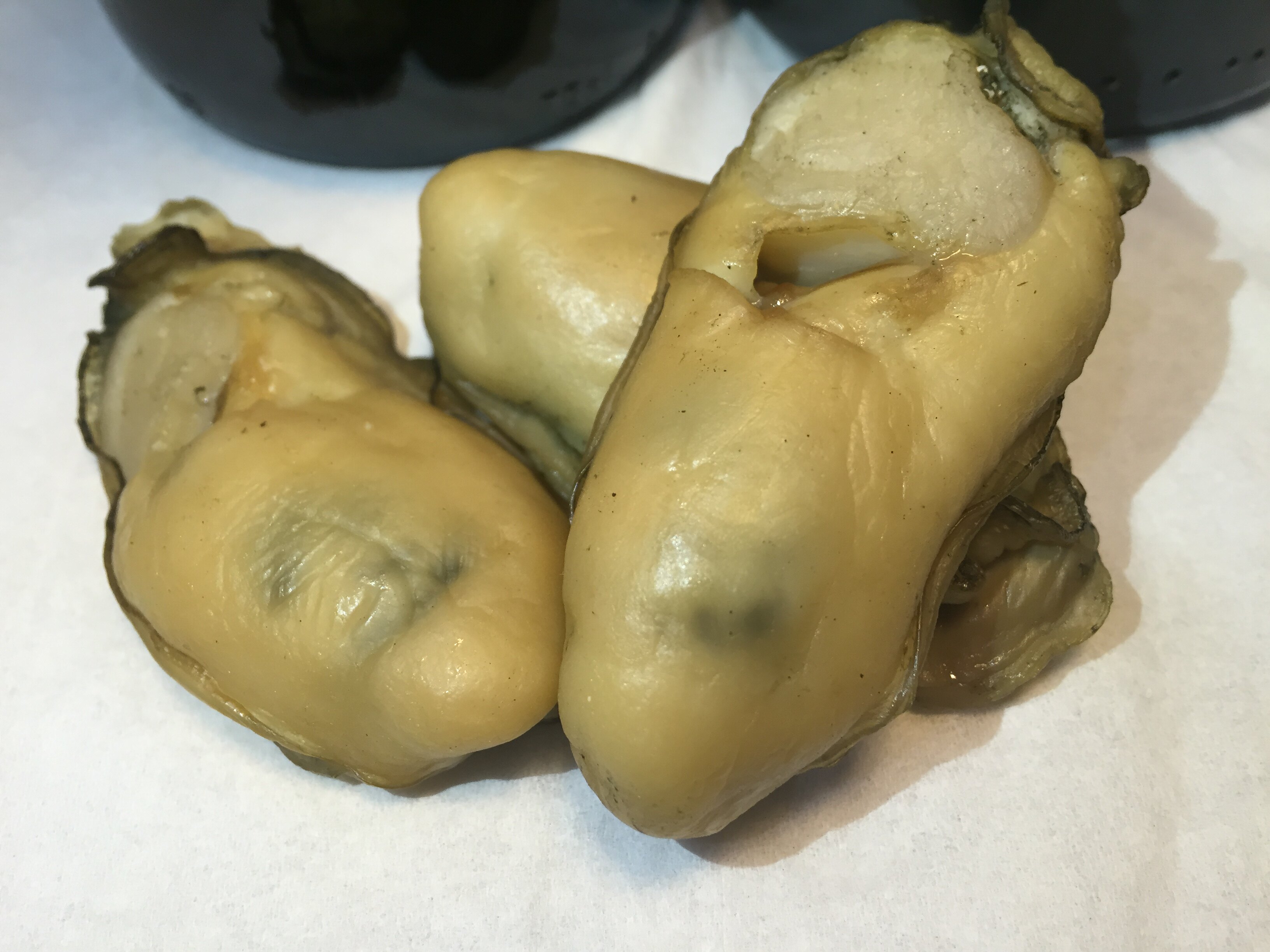 晨洲蚝岛汕尾海门潮声二级生蚝一斤30个头海生生蚝