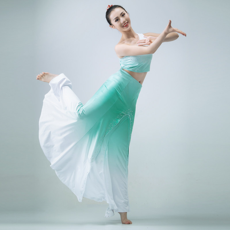 舞蹈傣族演出服民族民族舞艺考表演新款孔雀孔雀舞民族服装