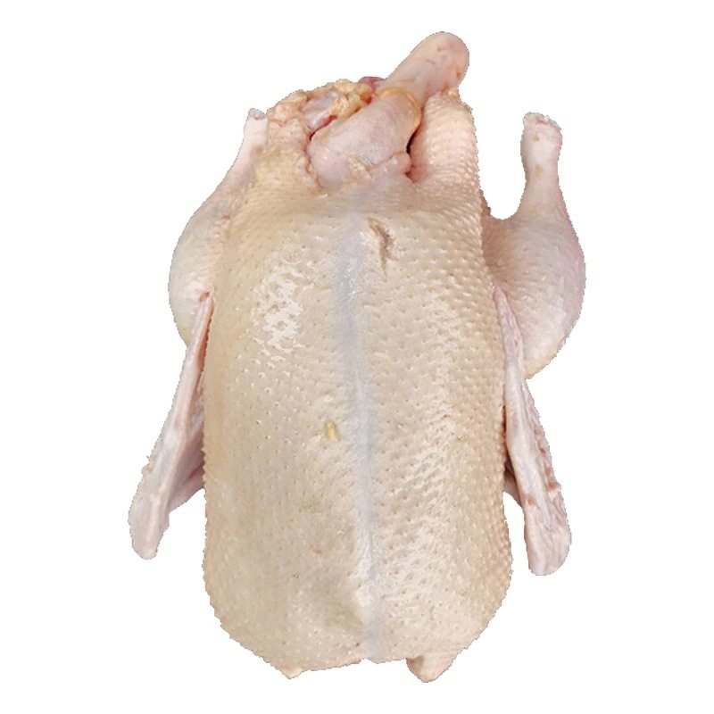 鸭子散养顺丰新鲜体现活体番鸭冷冻鸭肉肉麻鸭肉