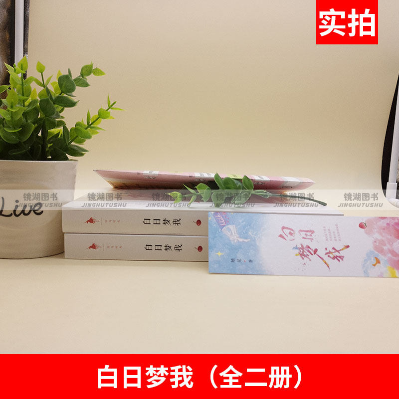 现货正版 白日梦我(全二册)栖见著 我对这个世界所有的温柔,都来自你