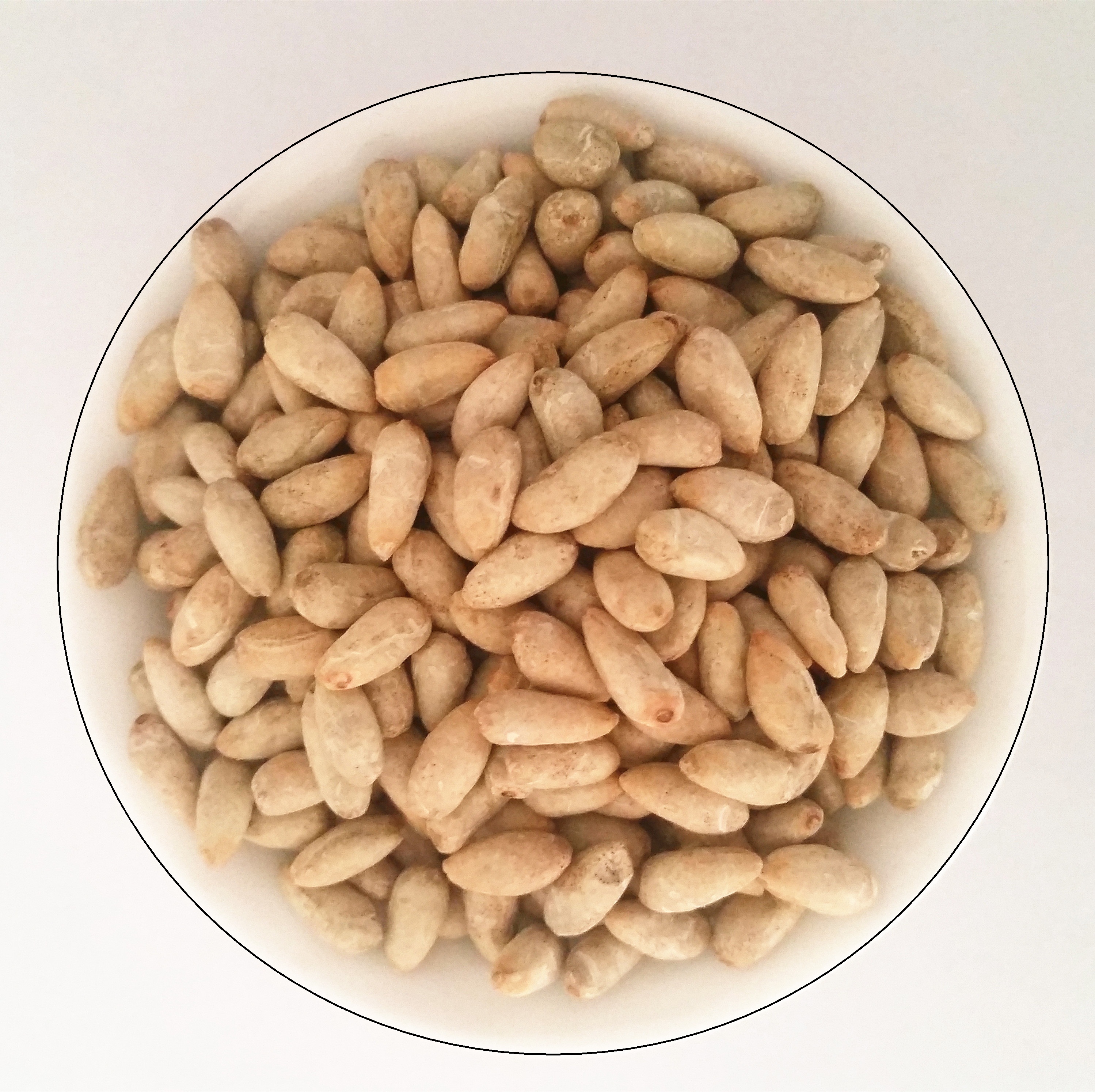 棉花花籽棉仁去壳种子花子棉籽家庭园艺种子