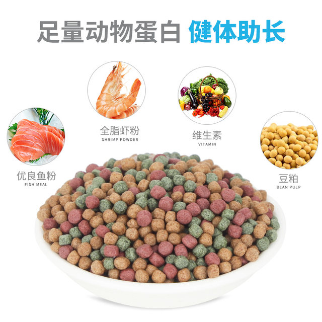 Goldfish feed small goldfish special fish food small fish household small particles fish Lanhou koi universal floating Goldfish feed small goldfish special fish food small fish household small particles fish Lanhou koi universal floating