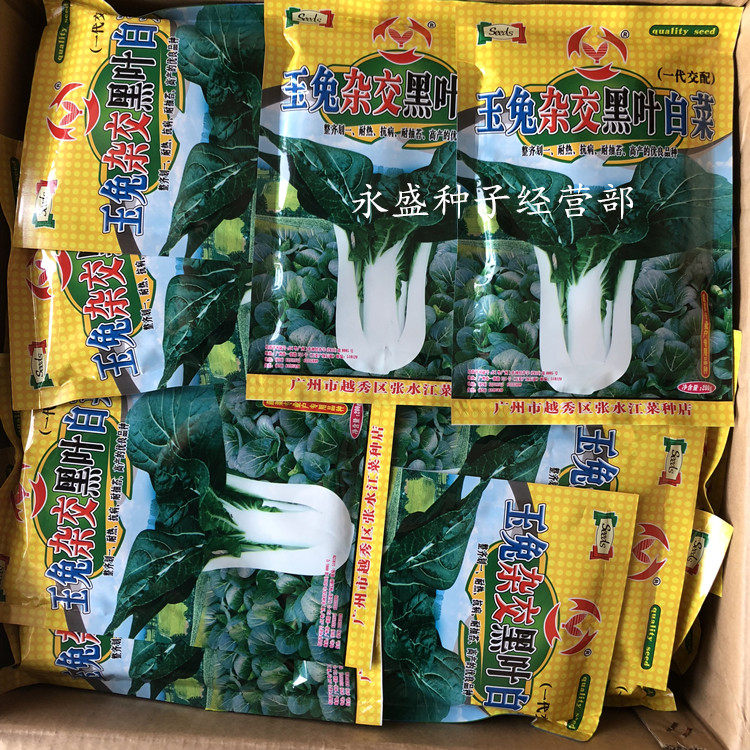 种子玉兔杂交叶白菜白菜小白菜种籽叶白抗病高产蔬菜种子