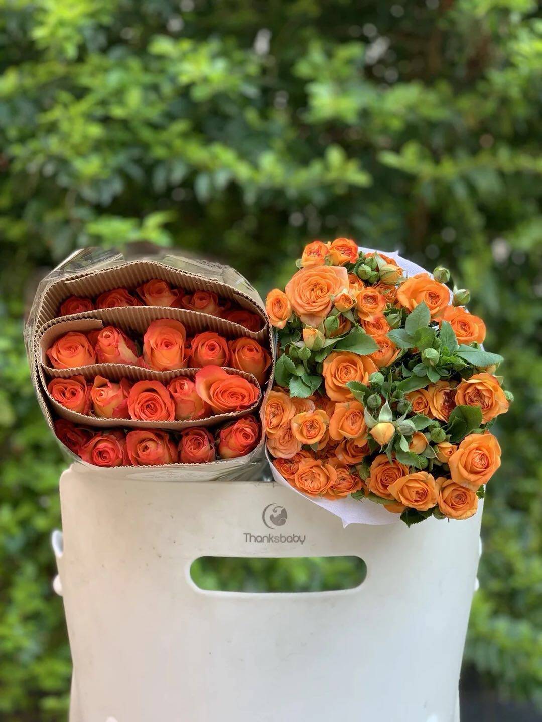 金辉玫瑰泡泡套餐云南基地鲜花水养橙黄家用时令草本花卉