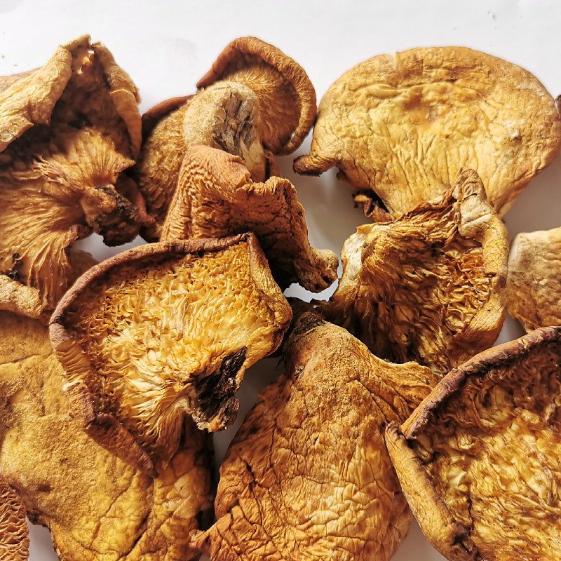 东北特产野生农家冻蘑元蘑干长白山干货蘑菇小鸡香菇类
