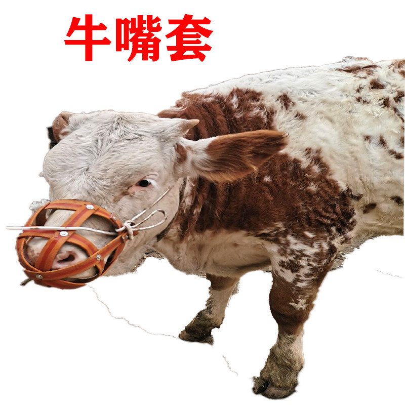 嘴套笼头牛嘴套母猪防咬马笼头小牛犊断奶马嚼子畜牧