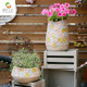 Outdoor garden decoration hand-painted creative retro tall flower jar flower pot home balcony courtyard layout gardening ornaments Outdoor garden decoration hand-painted creative retro tall flower jar flower pot home balcony courtyard layout gardening ornaments