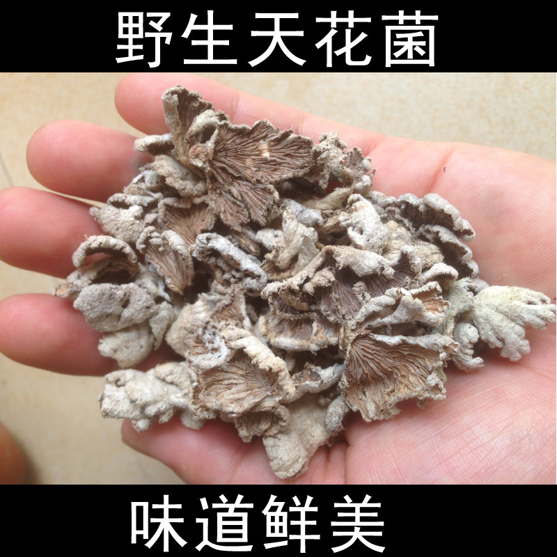 野生天花250g白参菌广西深山特产纯野菌类松茸松茸
