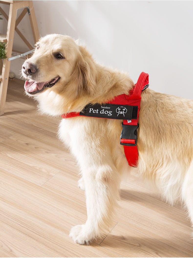 宠物宠物狗狗狗牵引绳胸背心式大金毛萨摩哈士奇家用牵引带