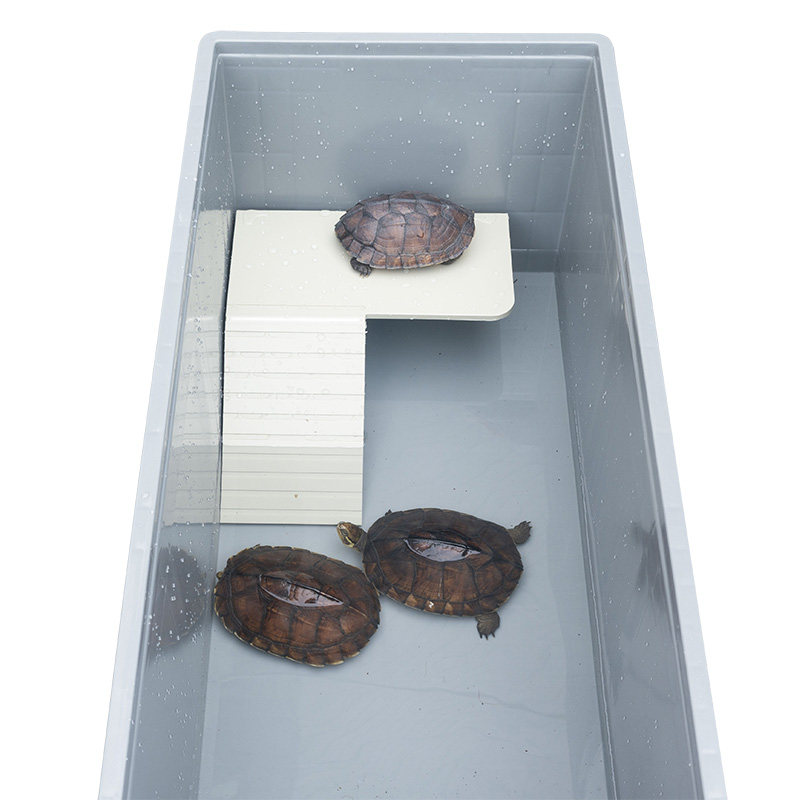黄缘盒饲养半水养殖箱安缘龟箱台缘龟箱仿生生态鱼缸