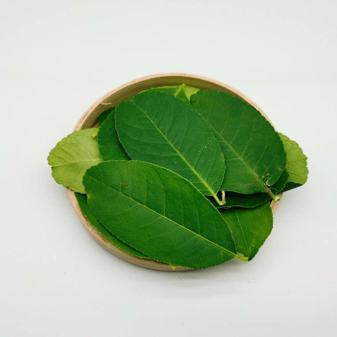 新鲜柠檬叶香料香料料理腌制烹饪调料冬阴汤料其它