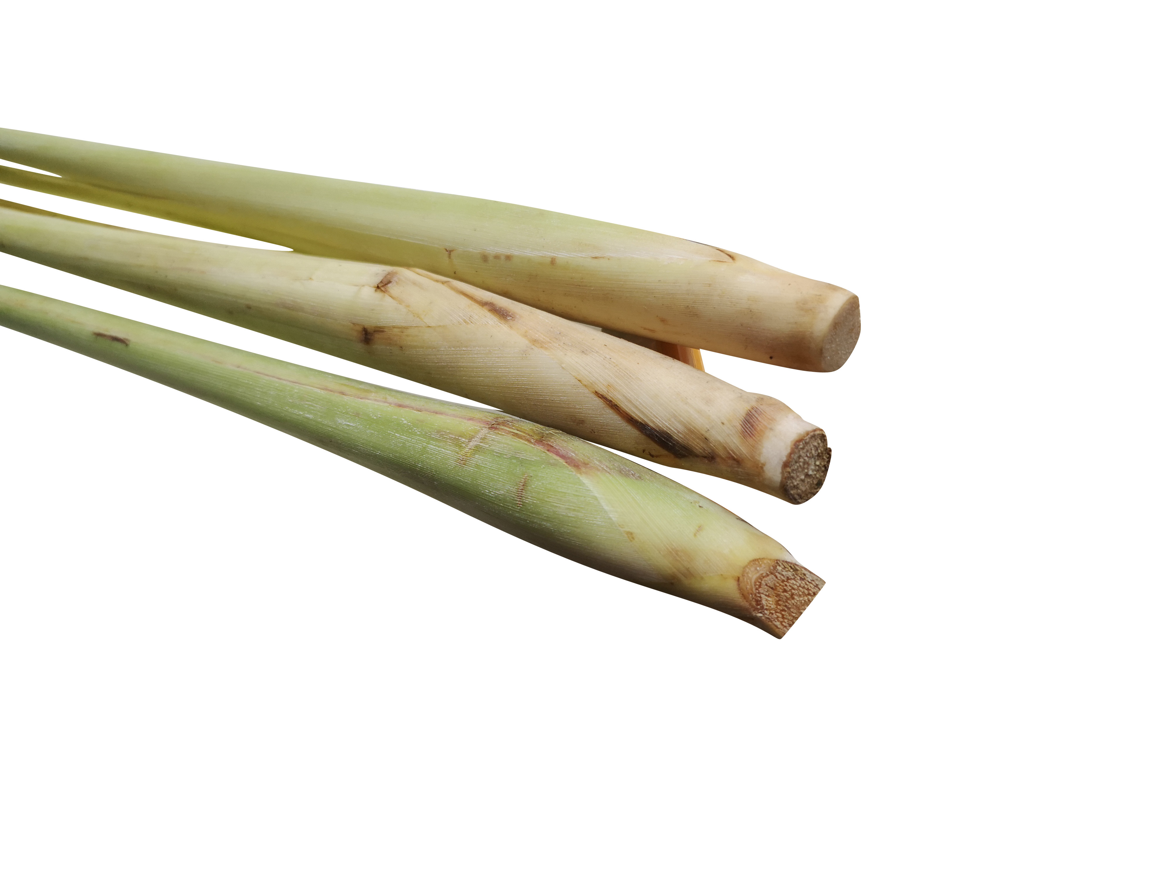 香茅新鲜柠檬草1斤5斤奶茶柠檬泰国冬阴功汤其它