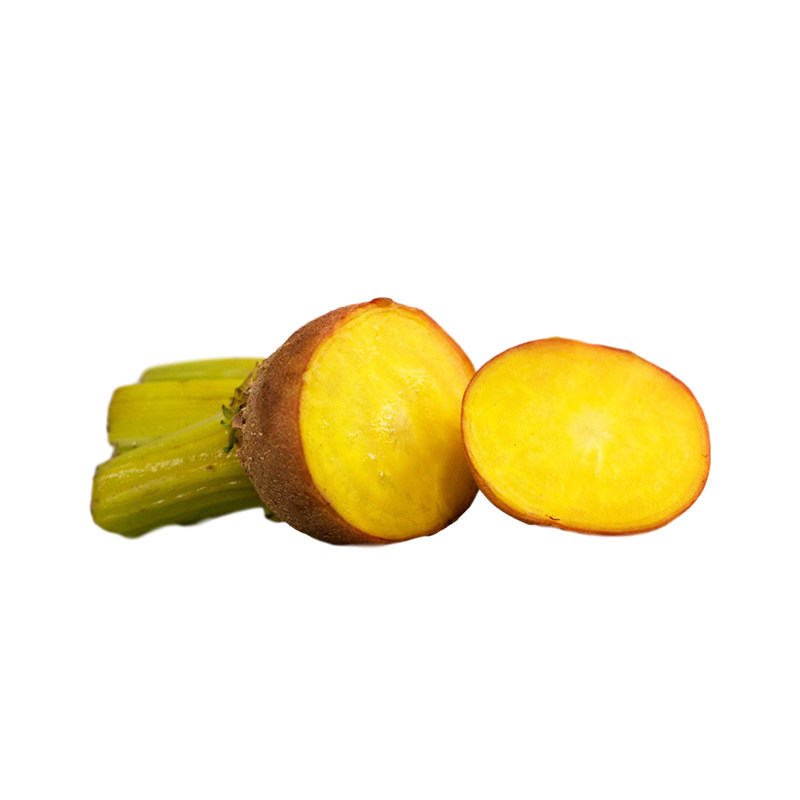 黄菜萝卜螺纹黄萝卜小黄黄螺纹菜头beetroot500克其它