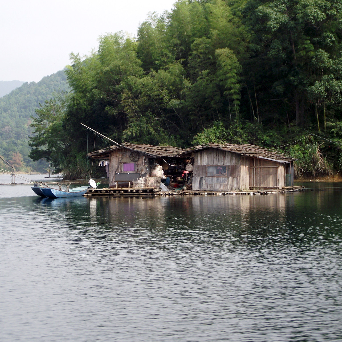 犹江湖畔 石鱼干陡水湖千年鱼野生淡水鱼干干货江西赣南特产250克