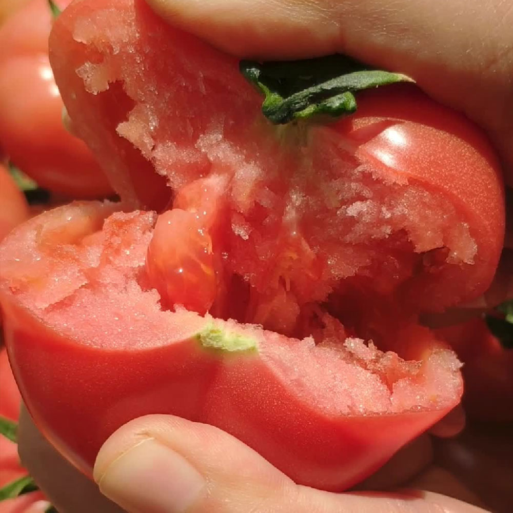 3斤装老味道农家自然熟西红柿黄金酸甜比例戴安娜薄皮沙瓤酸甜