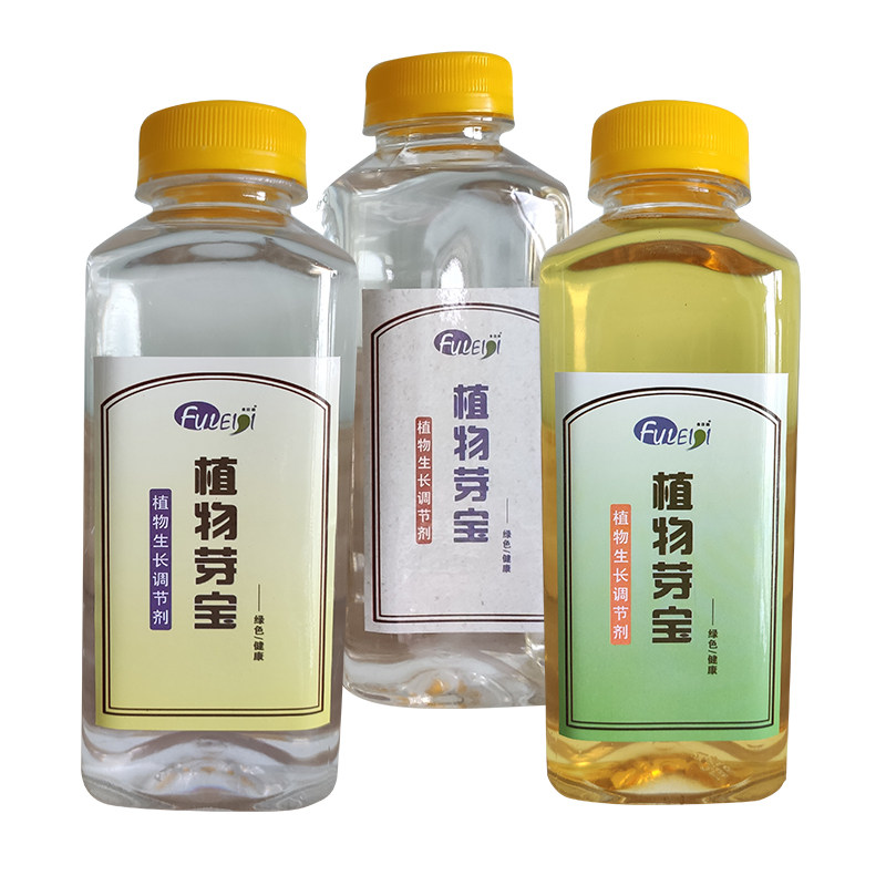 检测豆芽营养营养液液泡豆去根植物药生长调节剂无根介质