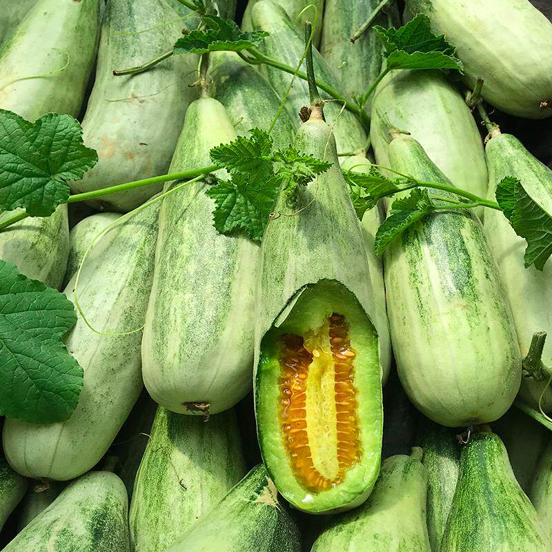 羊角蜜瓜箱包整箱当季5斤东北脆瓜本地水果手机保护套