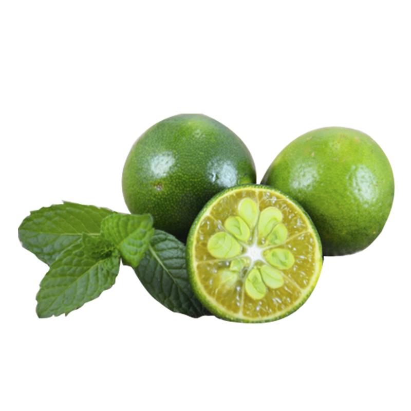 小金桔新鲜绿青桔皮薄多汁酸青柠