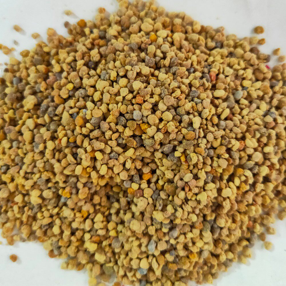 蜜生元蜂业花粉1斤养蜂专用蜜蜂饲料蜜蜂蜂群中蜂蜂群食物