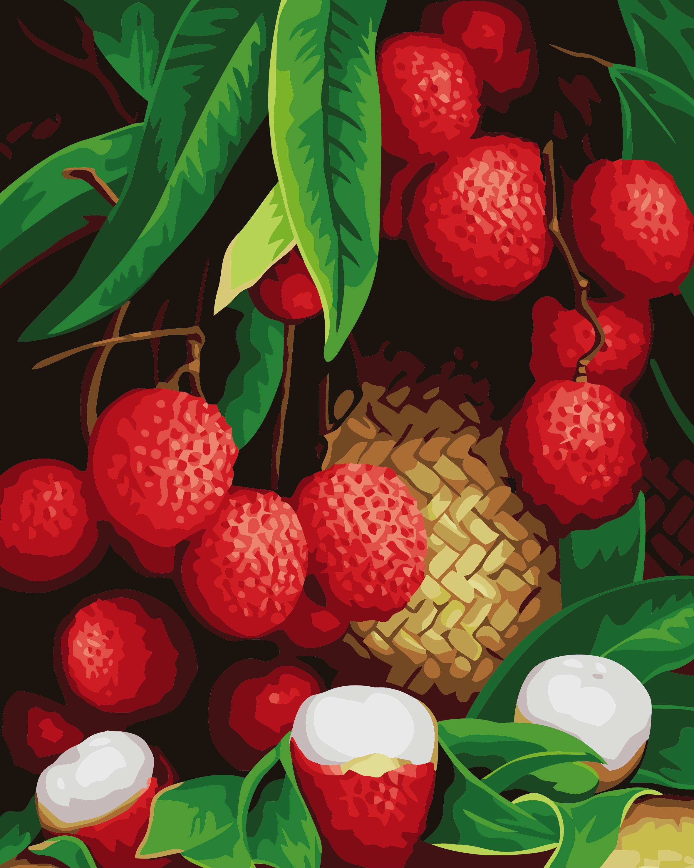 佳彩天颜数字油画水果店风风景情侣荔枝diy数字填色diy