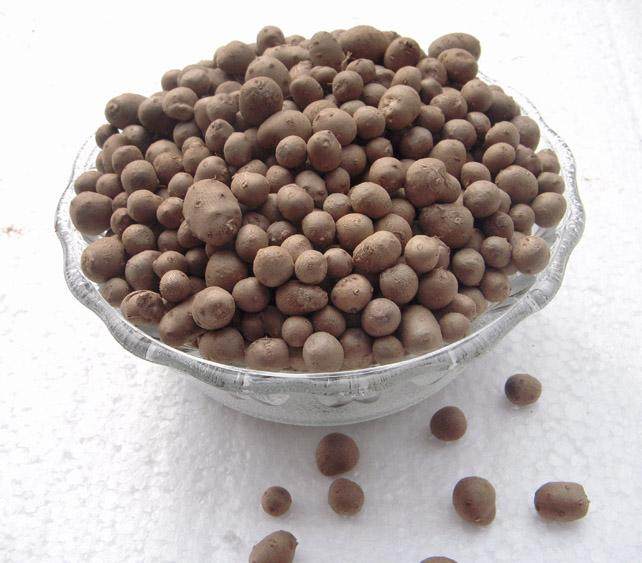 怀府人家温县垆土铁棍淮山药蛋豆500g河南特产焦作铁杆山约蛋