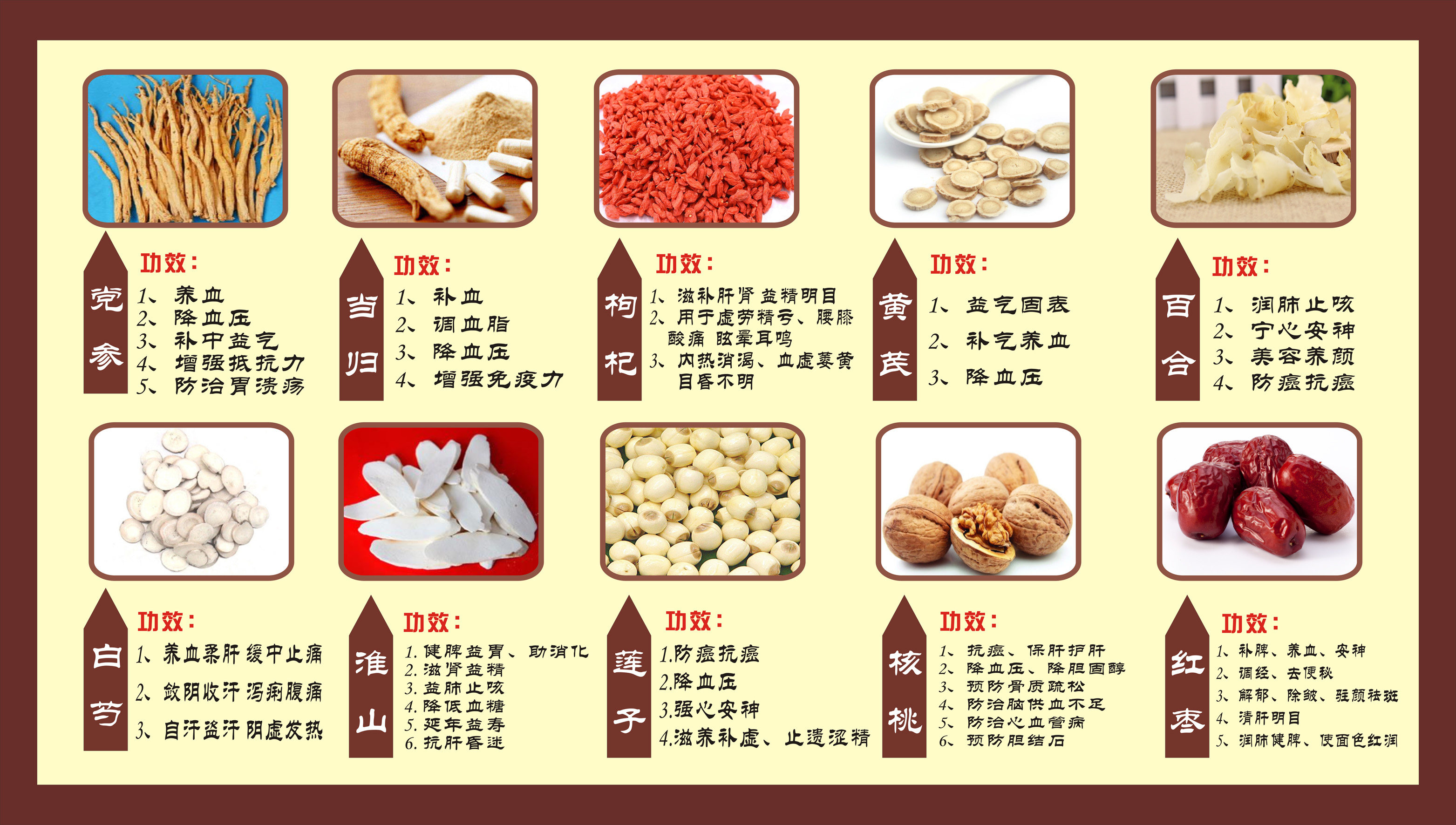 人参灵芝冬虫夏草大挂图中药材简介功效写真