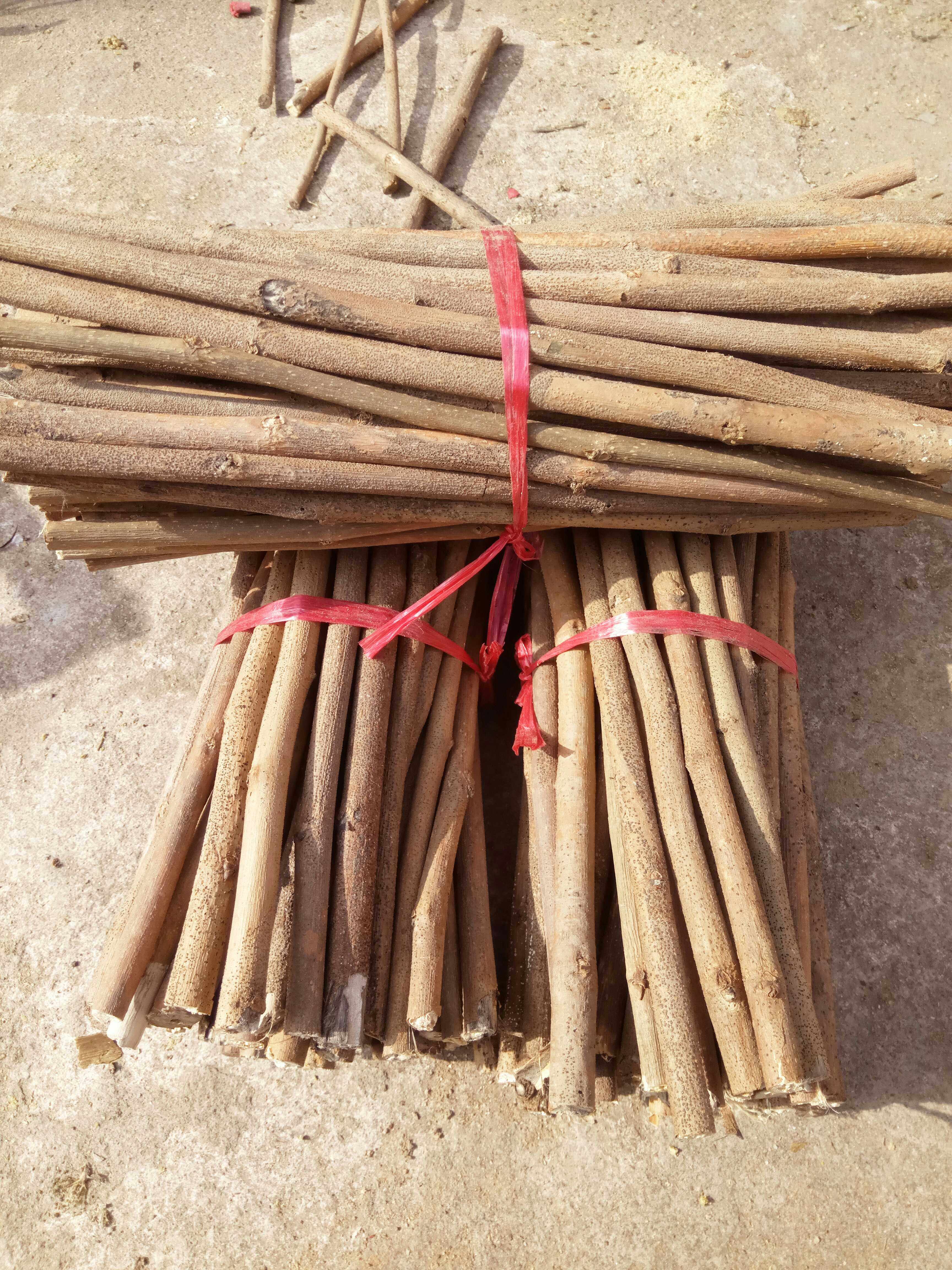 桑树枝条中药材野生桑枝桑柴木蚕枝干木棍一捆其他药食同源食品