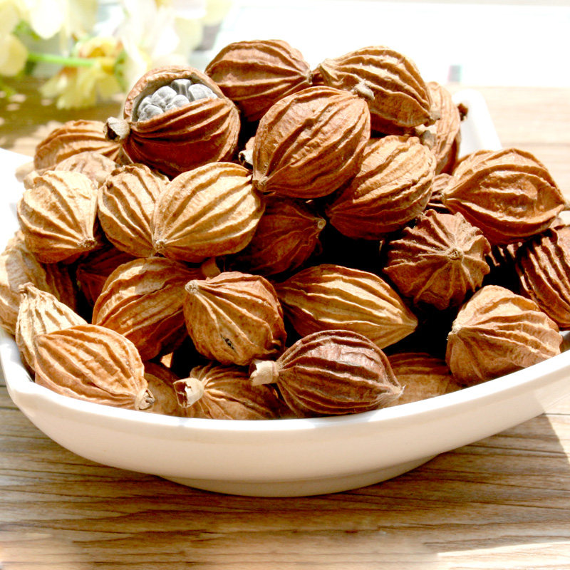 大全香料川沙香砂仁炖四川特产砂仁50g卤菜花椒