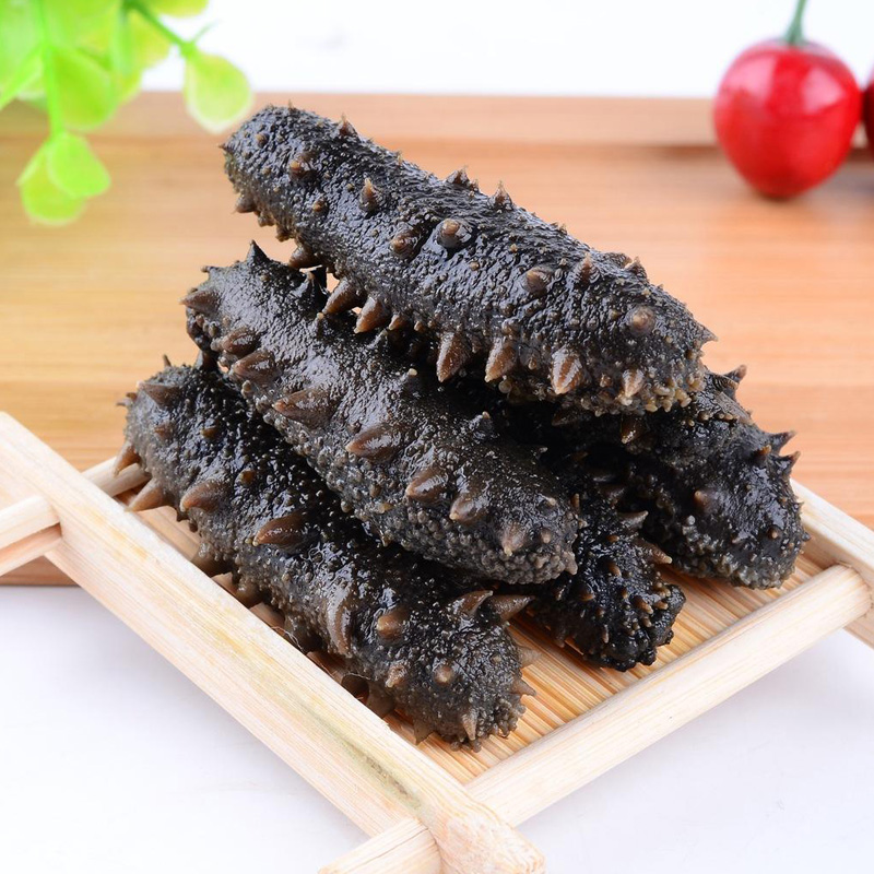 大连半干海参500g鲜活非淡干即干货海生刺参拉海参