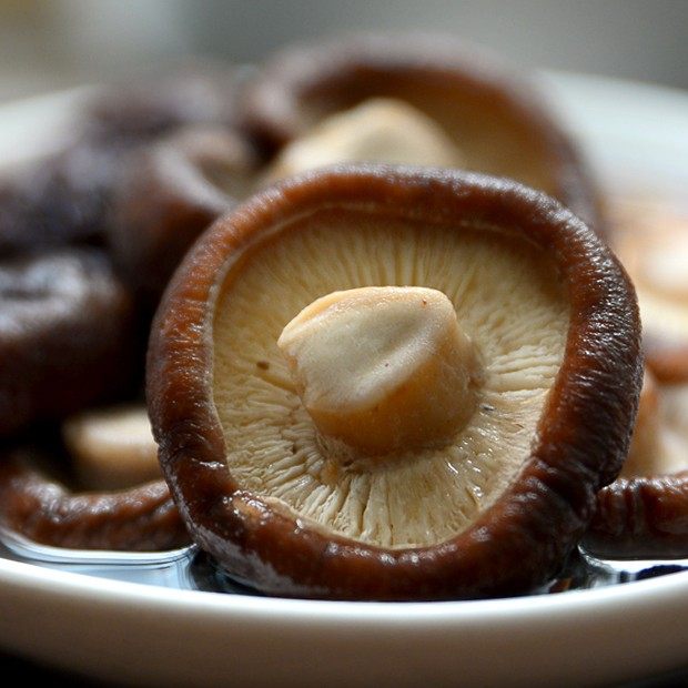 香菇农家自产小香干货冬菇蘑菇食用菌小花花菇香菇类