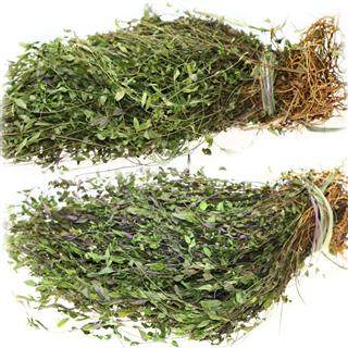 新鲜马回勒马瓜子金干品1件包邮其他药食同源食品