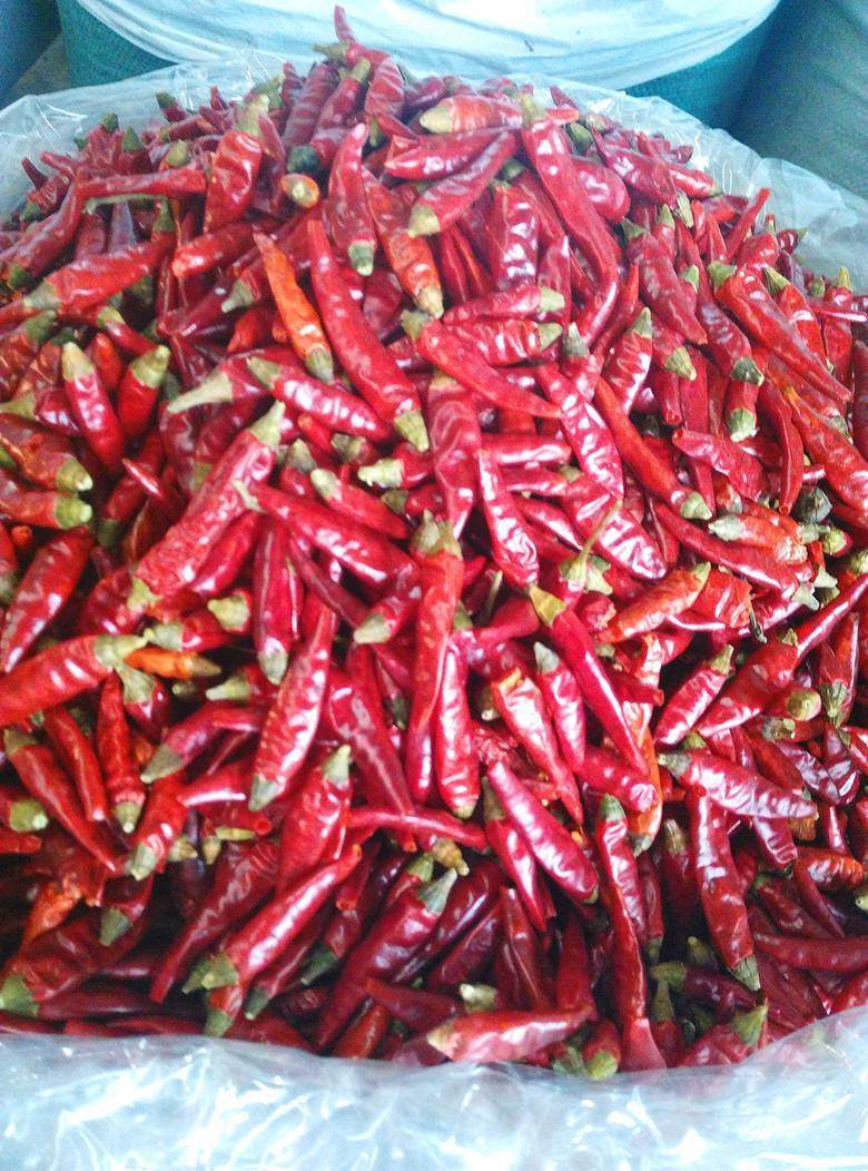 贵州霸王椒七星椒小米辣满天星500g特辣特香可打面段商用5斤包邮