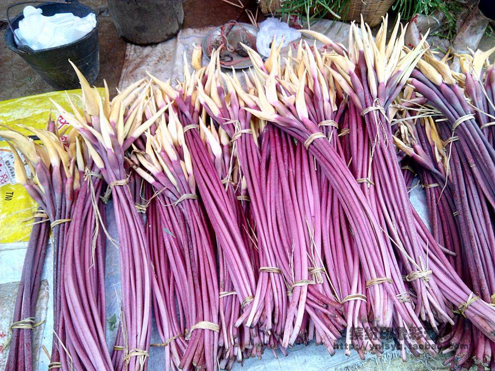 芋头云南紫色荷花芋苗新鲜菜鲜菜茎秆花朵1斤其它