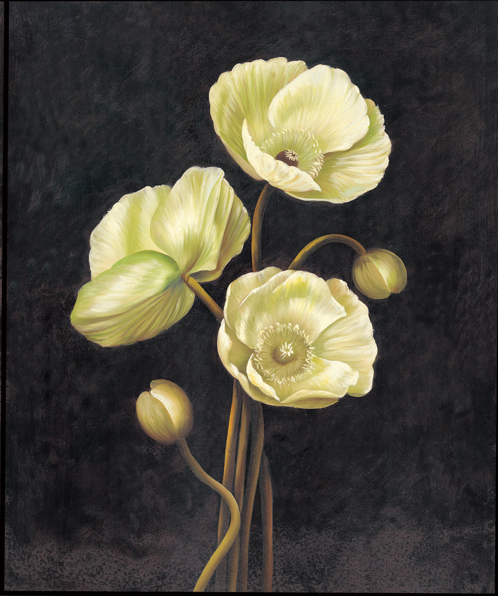 苏绣diy套件初学现代花卉虞美人画心手工刺绣苏绣