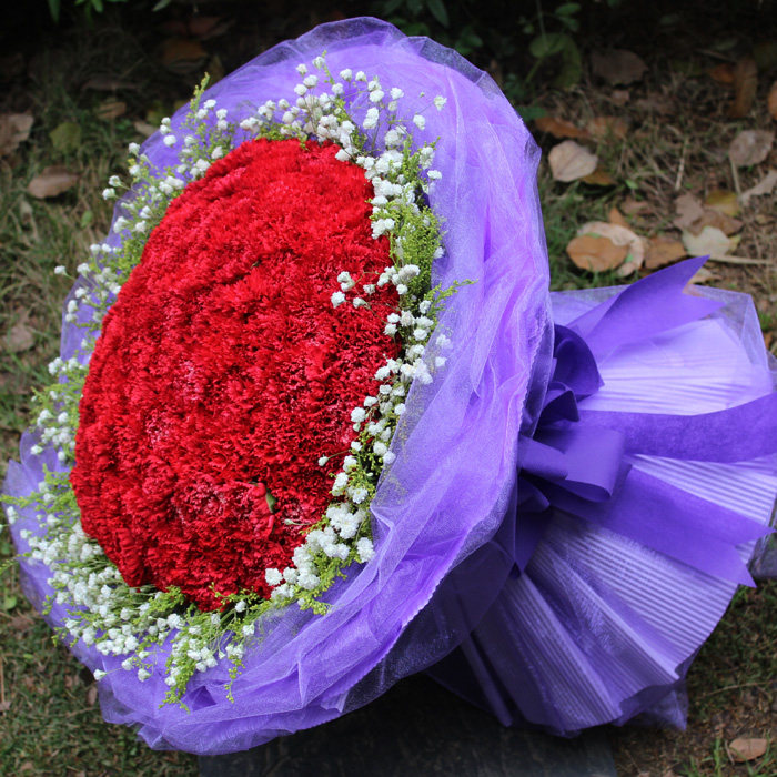 99朵康乃馨太原上海连云港重庆鲜花同城鲜花速递(同城)