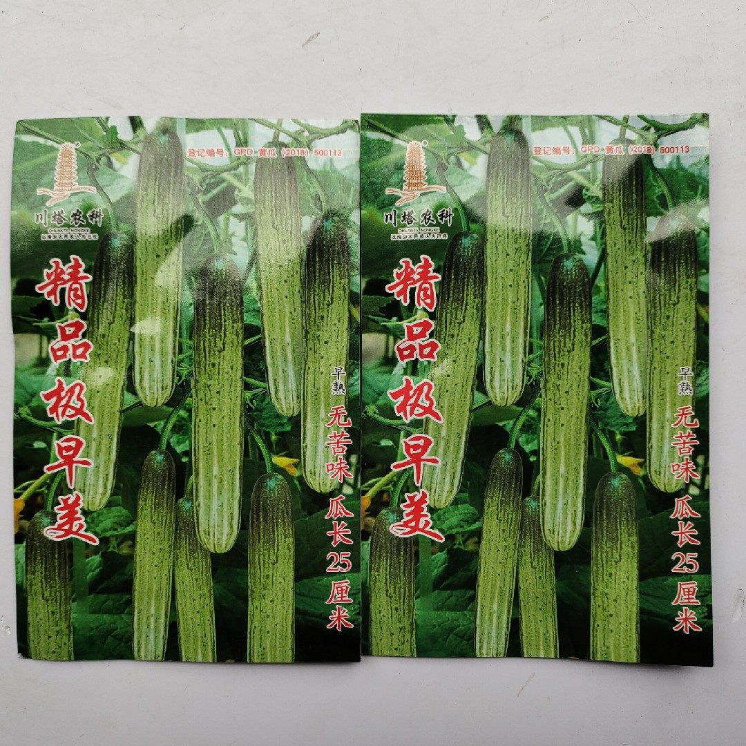 极早黄瓜川塔塔牌精品早熟水果圆筒形单瓜250g蔬菜种子