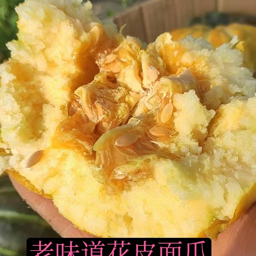 皮面山东老面瓜花香瓜黑皮瓜黄低糖水果老年人甜瓜
