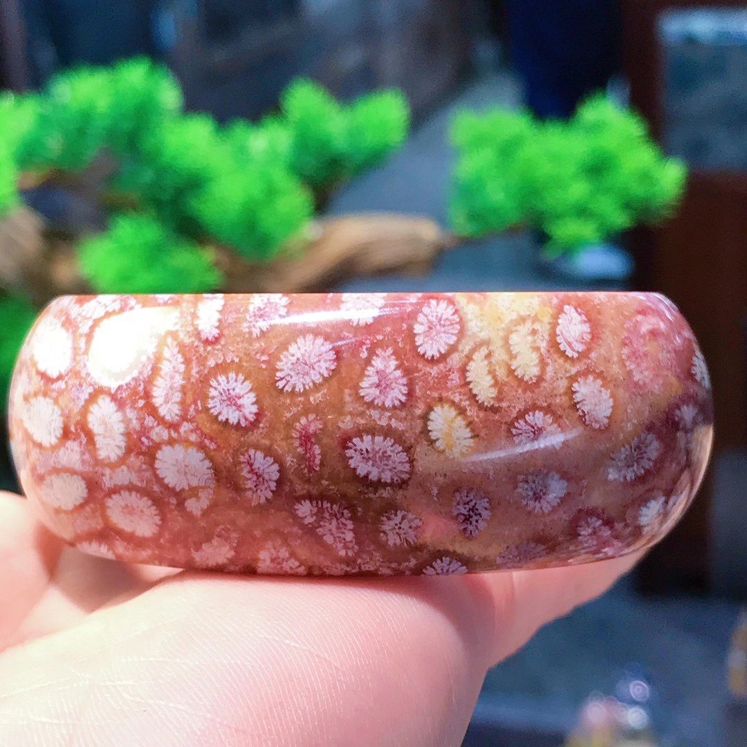 一博珊福精品天然珊瑚玉紫粉宽版手镯手镯