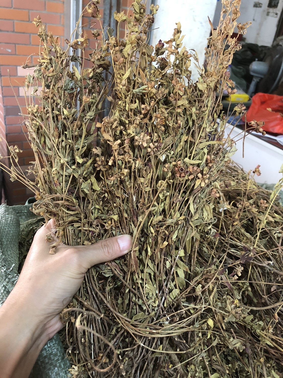 香炉金香炉中草药500克中药材小金金钟金石榴石榴其他药食同源食品