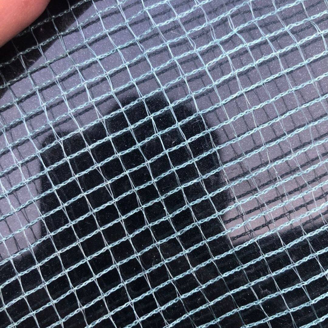 方格水产养殖防逃龙虾网养鱼网聚乙烯经编网布网片鱼网