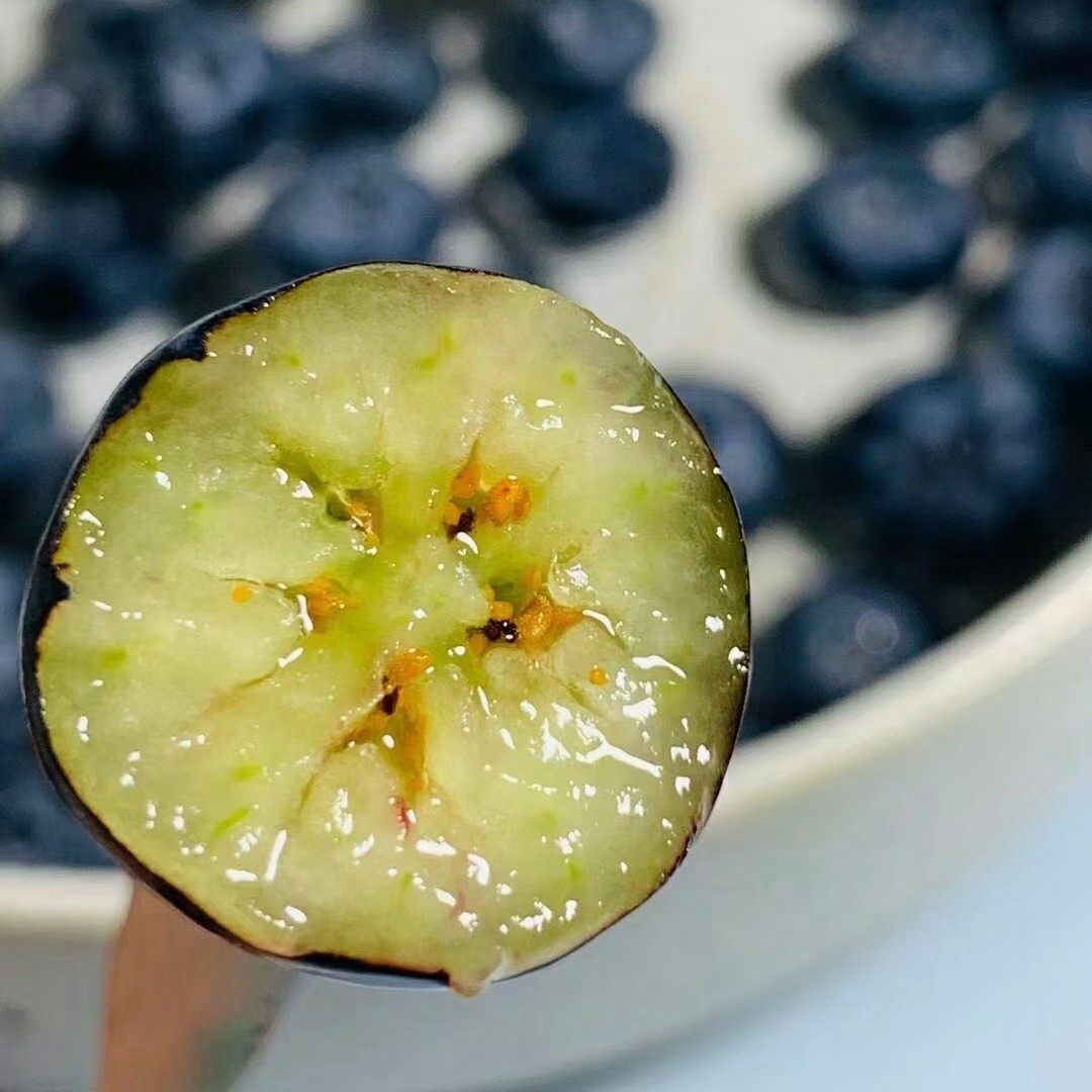 蓝莓怡颗超大盒装当季限量巨无霸新鲜云南水果蓝莓