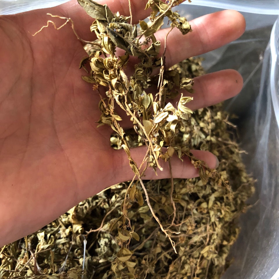 金牛中药材小金草小金不换250克七寸寸金紫背小兰其他药食同源食品