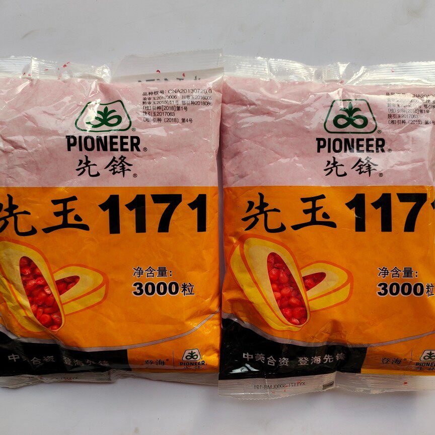 玉米先玉1171高产种籽籽种红袖铁杆大棒硬质蔬菜种子