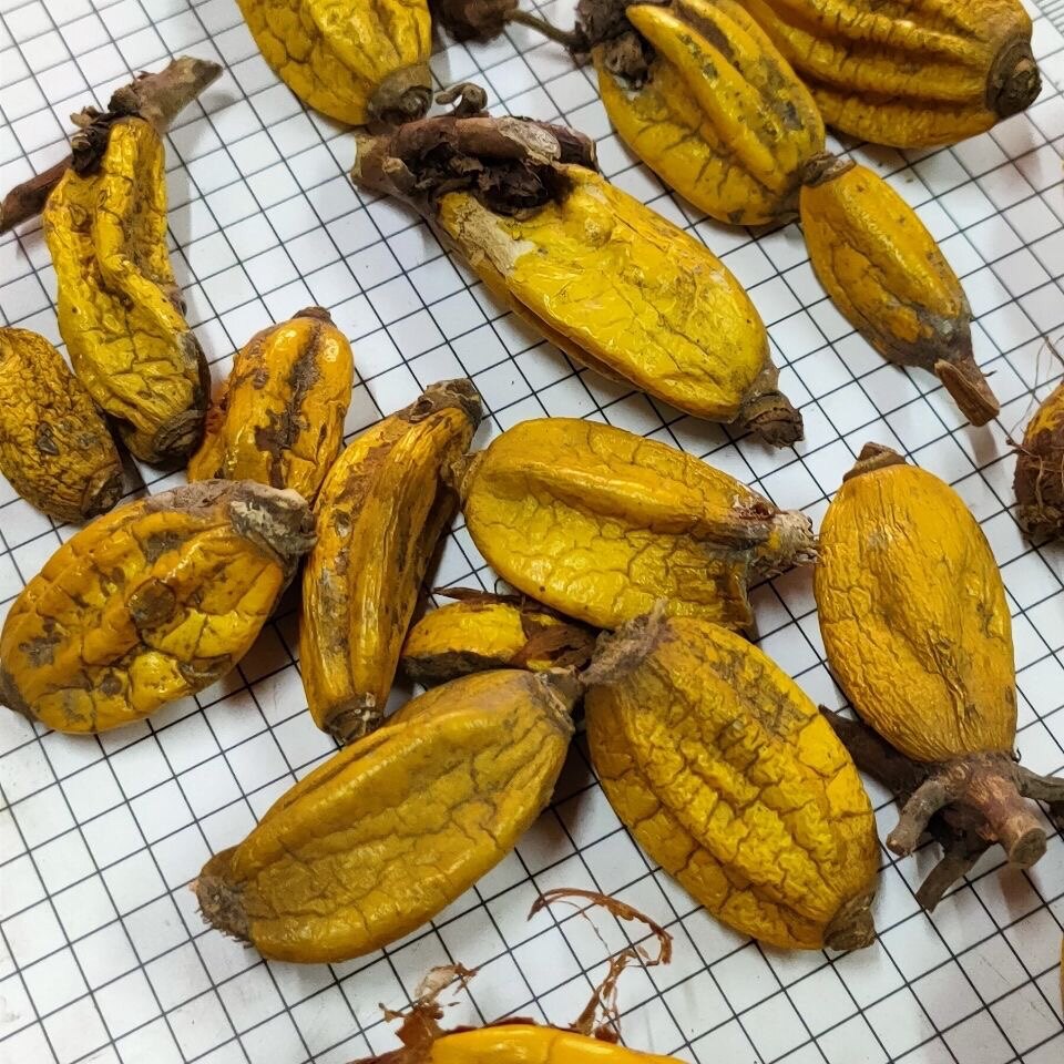 石仙桃仙桃500克包邮干货石橄榄橄榄中药材一斤其他药食同源食品