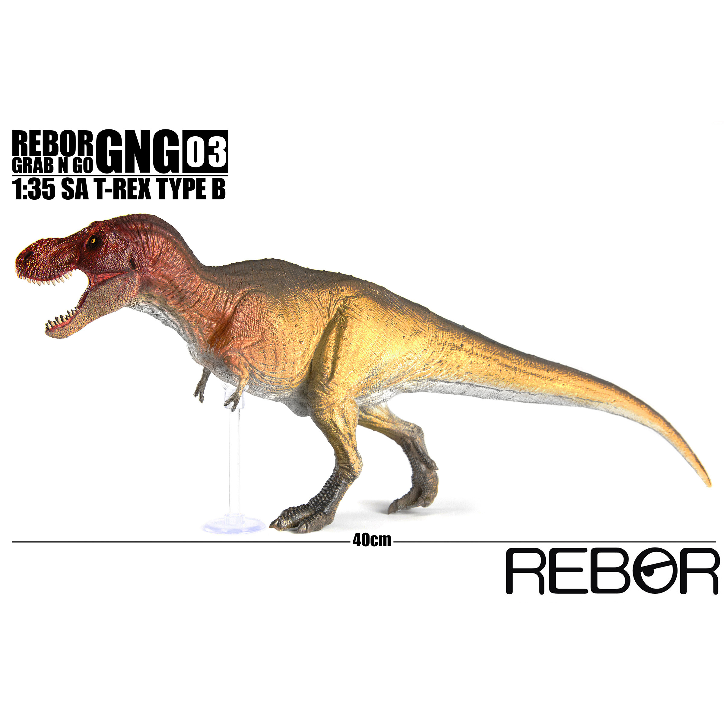 rebor恐龙动物仿真模型玩具gng系列霸王龙暴龙仿真